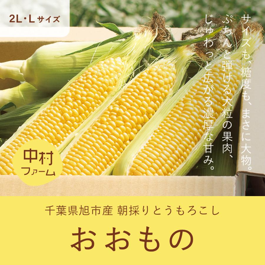 ミナミ様　茄子、ジャガイモ、とうもろこし、果物セット 5月〜7月予約 おおもの 5kg （2L・Lサイズ） : 花悠 豚肉専門店