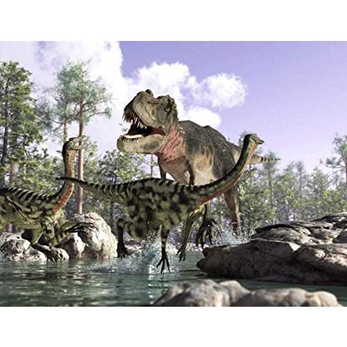 SanDoll 「ティラノサウルス」恐竜 フィギュア リアル 模型 ジュラ紀 30cm級  迫力 肉食 子供玩具  恐竜おもちゃ 褐色タイプ｜maanext｜07