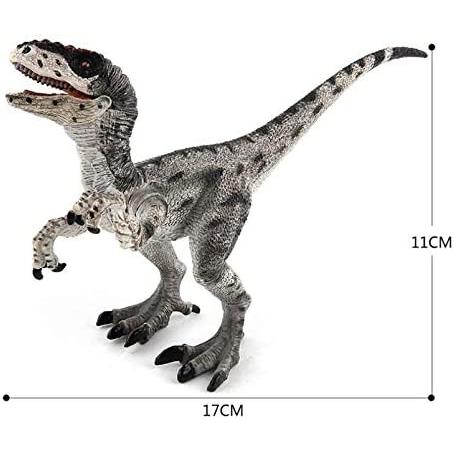 恐竜フィギュアヴェロキラプトル フィギュア リアル 模型 ジュラ紀 爬虫類 迫力 肉食 子供玩具  恐竜おもちゃ |  | 01