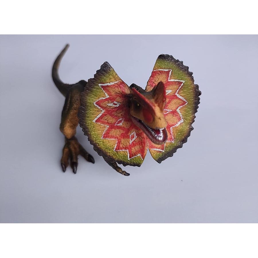 SanDoll ディロフォサウルス 恐竜 フィギュア リアル 模型 ジュラ紀 爬虫類 迫力 肉食 子供玩具｜maanext｜06