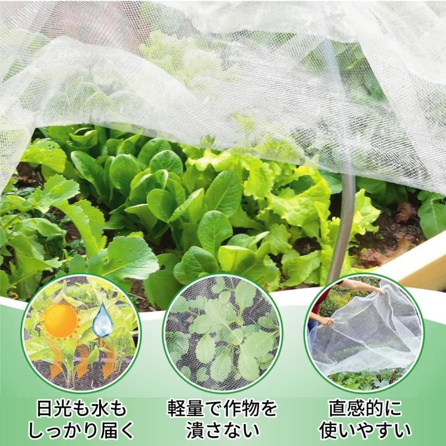 防虫ネット 防鳥ネット 園芸用ネット サイズ多数あり フリーカット素材 透光性90% 水やり可能 1ｍｍ目合 家庭菜園 畑 園芸 農業資材 虫除けネット (3ｍ×3ｍ) |  | 02