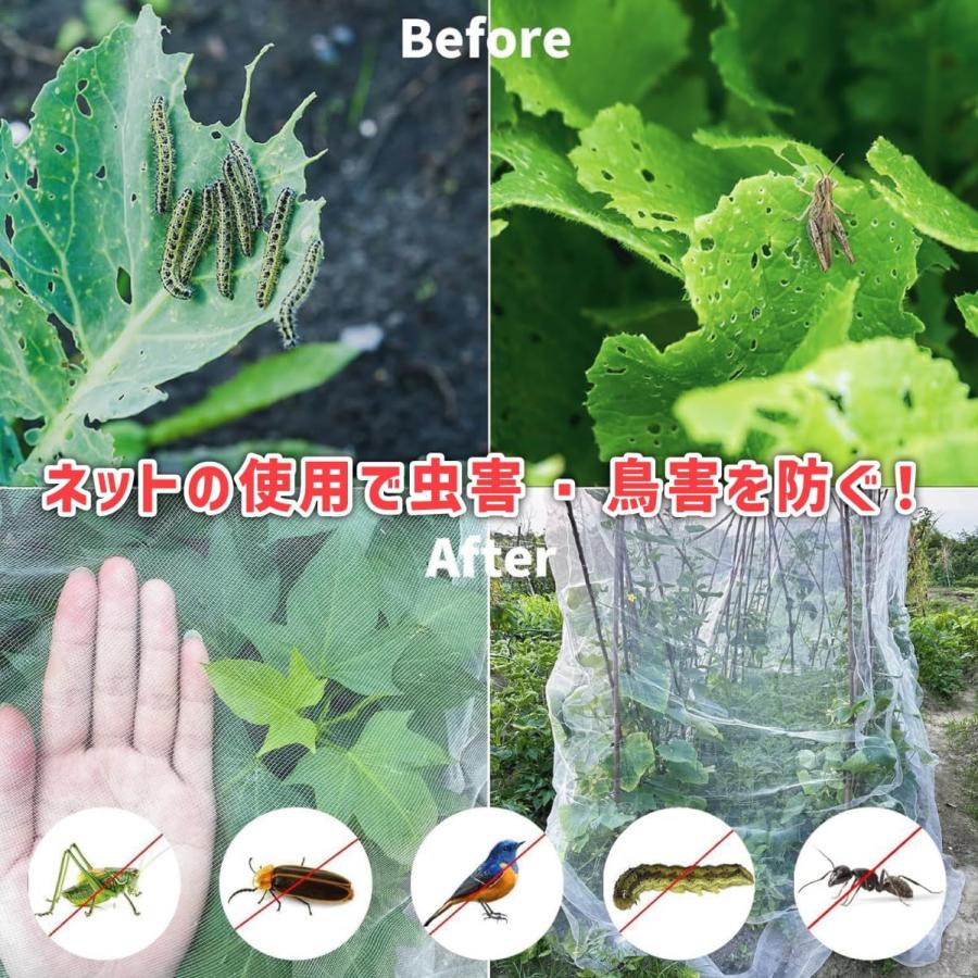 防虫ネット 防鳥ネット 園芸用ネット サイズ多数あり フリーカット素材 透光性90% 水やり可能 1ｍｍ目合 家庭菜園 畑 園芸 農業資材 虫除けネット (3ｍ×3ｍ) |  | 04