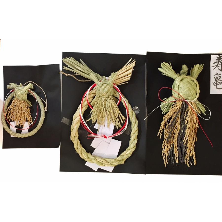 国産 亀のしめ飾り 通常の一番人気サイズ : MA by So Shi Te - 通販