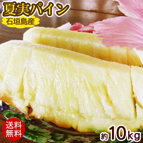 沖縄 石垣島産パイナップル 夏実パイン 約10kg 7 12玉 ハワイ種露地栽培 送料無料 10 いっぺーまーさんyahoo店 通販 Yahoo ショッピング