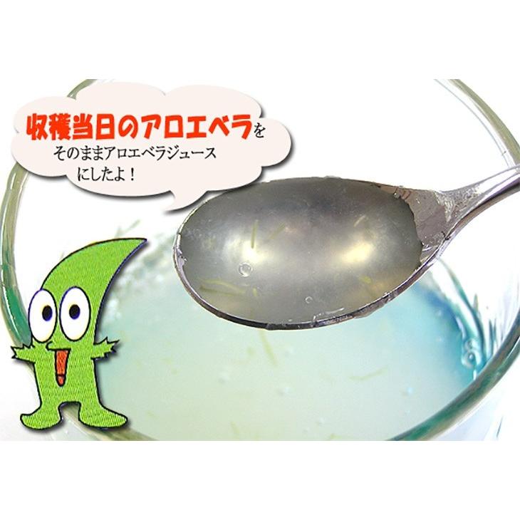 琉球アロエ Duguai Vera 900ml×12本 琉球アロエ Duguai Vera 900ml×12本 農業生産法人有限会社琉球