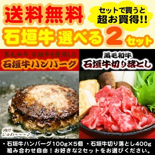 石垣牛ハンバーグ 切り落とし 選べる2個セット 送料無料 F Igyu Ham Kiri Eraberu2set いっぺーまーさんyahoo店 通販 Yahoo ショッピング