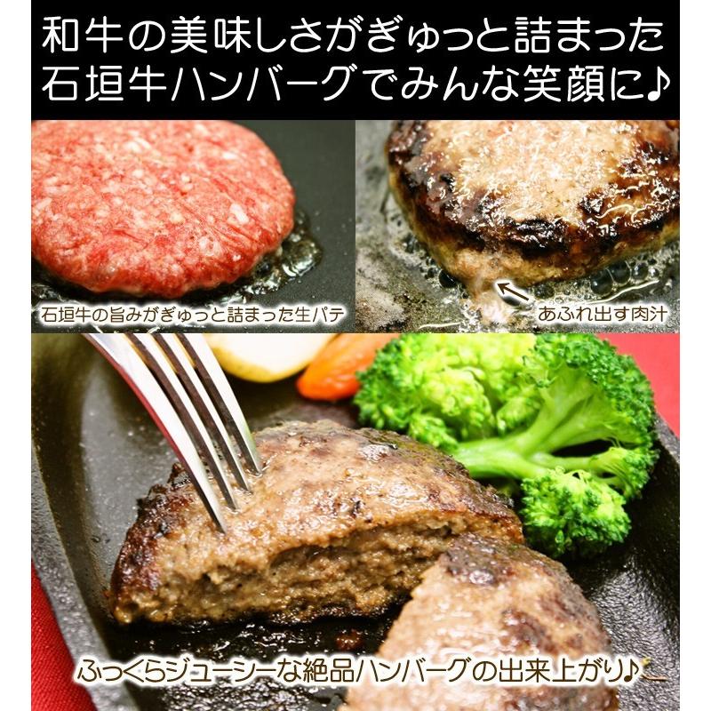 石垣牛ハンバーグ 切り落とし 選べる2個セット 送料無料 F Igyu Ham Kiri Eraberu2set いっぺーまーさんyahoo店 通販 Yahoo ショッピング