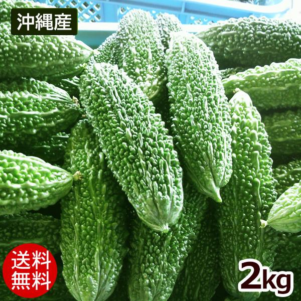 沖縄県産 ゴーヤー 約2kg 沖縄 苦瓜 沖縄産 ゴーヤー 約2kg（7〜9