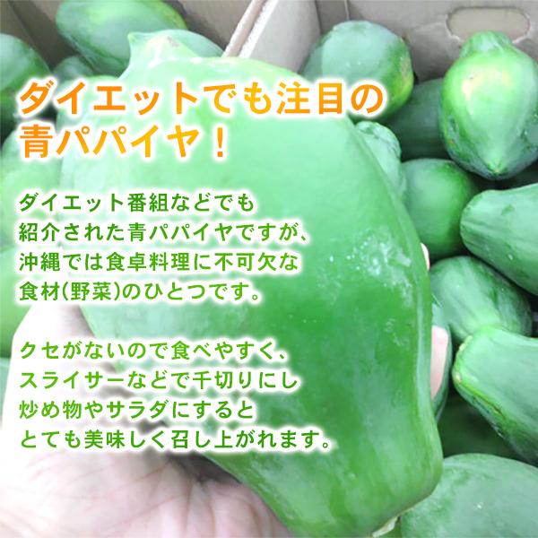 沖縄産 青パパイヤ 約2kg（2〜5玉）（送料無料）｜maasanichi｜03