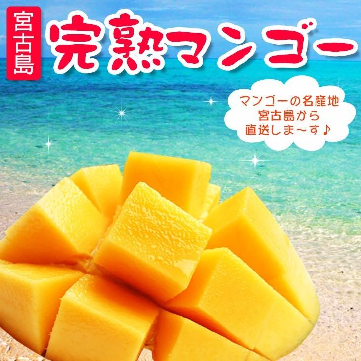 宮古島産 完熟マンゴー 1kg 【秀品】（送料無料） : j-miyamango-s1kg