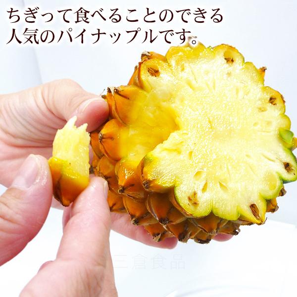 当店限定販売】石垣島産スナックパイン 約3kg（2玉〜5玉） 沖縄産
