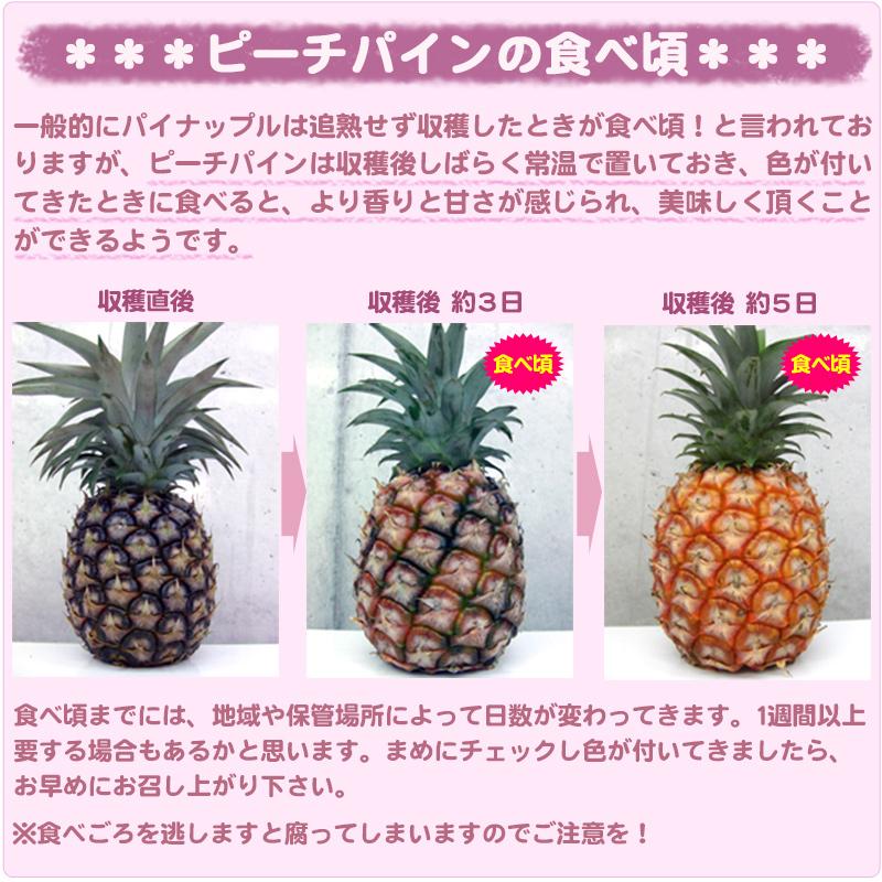 石垣島産 ピーチパイン 約3kg （3玉〜6玉） 沖縄産パイナップル（送料
