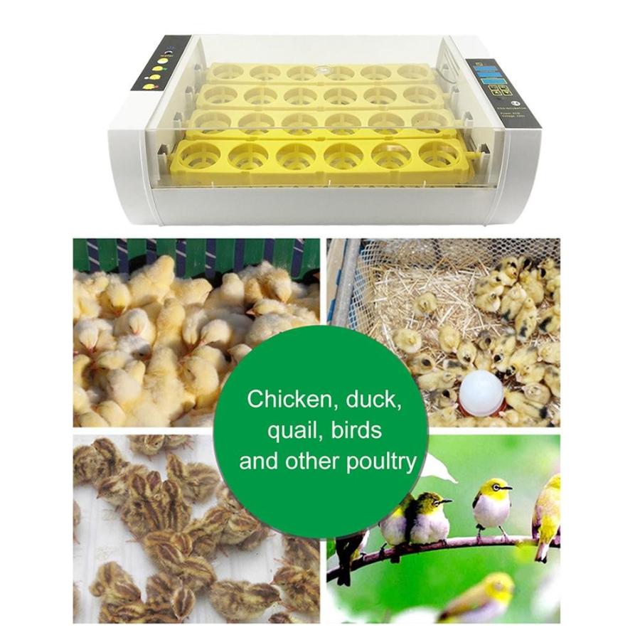 自動インキュベータ 24 卵大容量鶏家禽ウズラ七面鳥卵自動卵旋回 家庭用 実験用 Mi864 マビカラ Yahoo 店 通販 Yahoo ショッピング