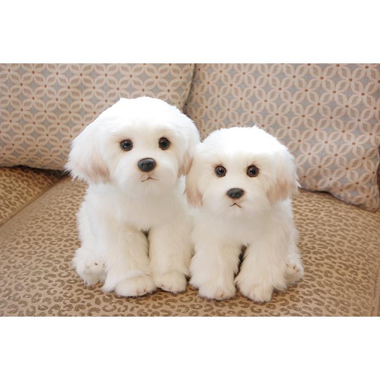 マルチーズ ぬいぐるみ ペアセット 犬 かわいい 人形 インテリア プレゼント Tb6124 マビカラ Yahoo 店 通販 Yahoo ショッピング