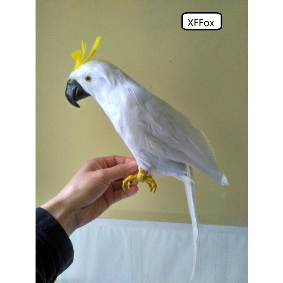 オウム 人形 リアル 白 鳥モデル 43cm ドール ぬいぐるみ オブジェ 置き物 Tb6933 マビカラ Yahoo 店 通販 Yahoo ショッピング