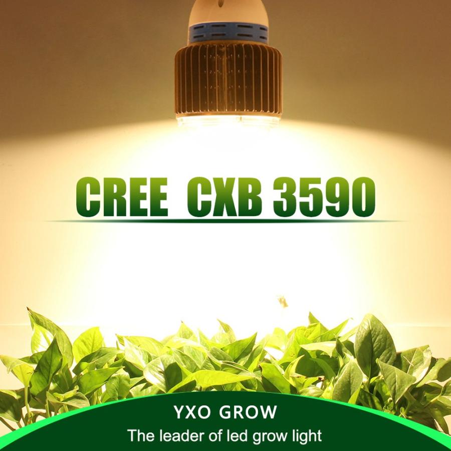 3000K LED CREE CXB3590X1 GROWライト 植物育成灯 yn175マビカラYahoo!店 通販