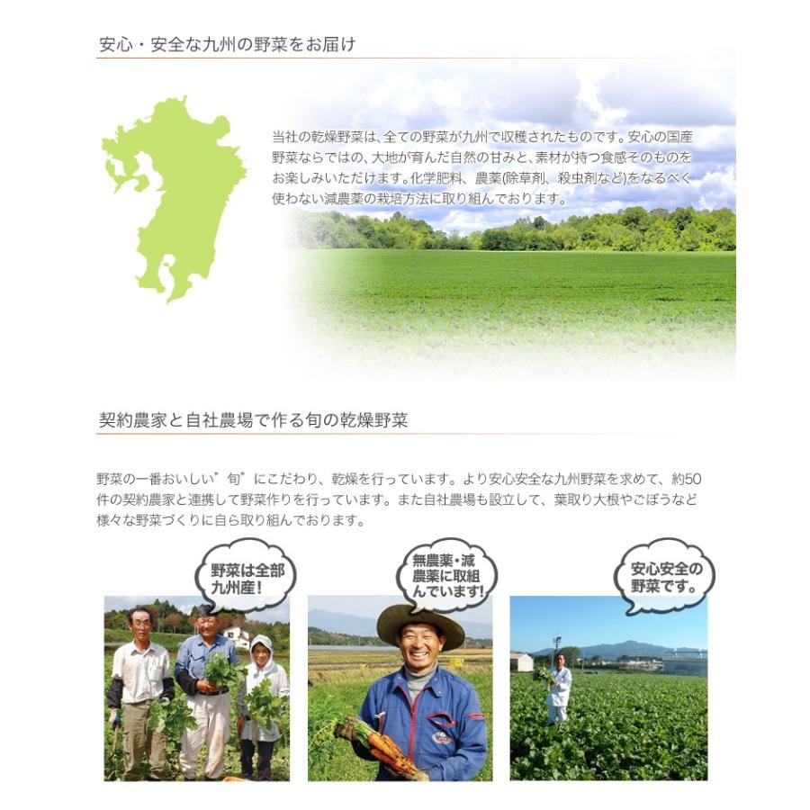 乾燥野菜 小松菜 1袋23g 生野菜260g相当 九州産野菜 長期保存が可能 非常食 保存食 備蓄食 お酒と食品の専門店 まぼろし屋 通販 Paypayモール