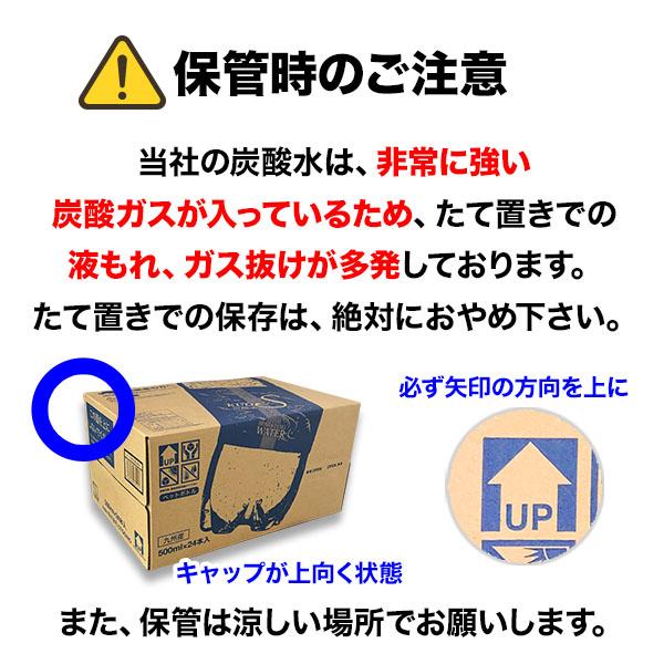 クオス 炭酸水 アップルフレーバー 500ml×24本 無糖炭酸飲料 クオス 炭酸水 アップルフレーバー 500ml×24本 無糖炭酸飲料