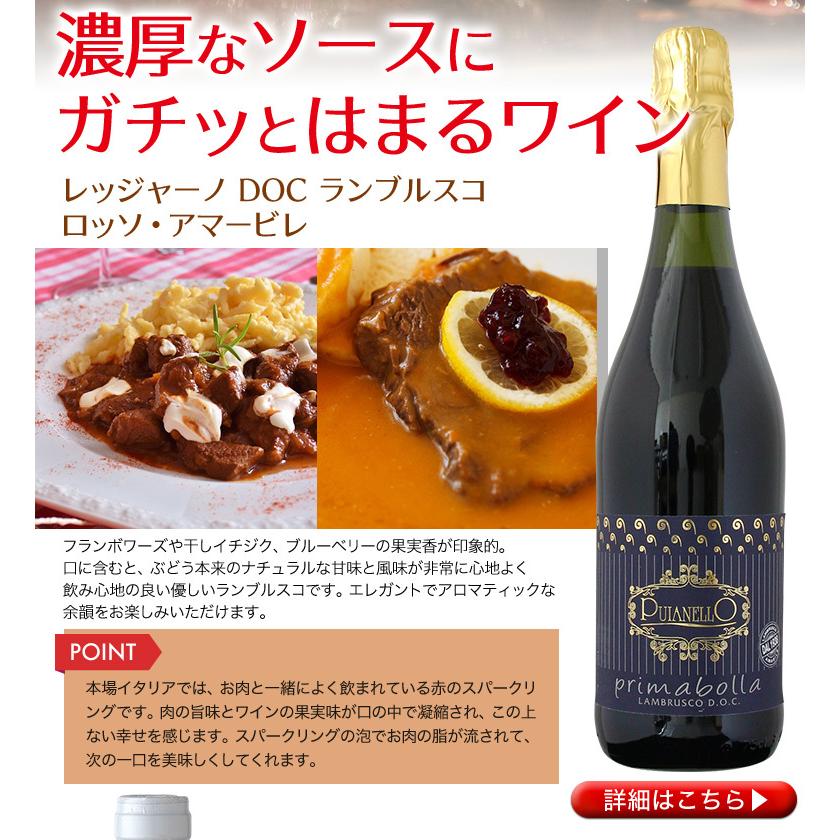 ワインセット 赤ワイン ロゼワイン 肉料理と相性抜群の肉ワインセット アウトドア バーベキューに お酒と食品の専門店 まぼろし屋 通販 Paypayモール
