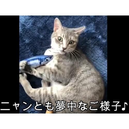 スマック じゃれぐるみ またたび100% サケ30 猫用｜mabuchipet｜03