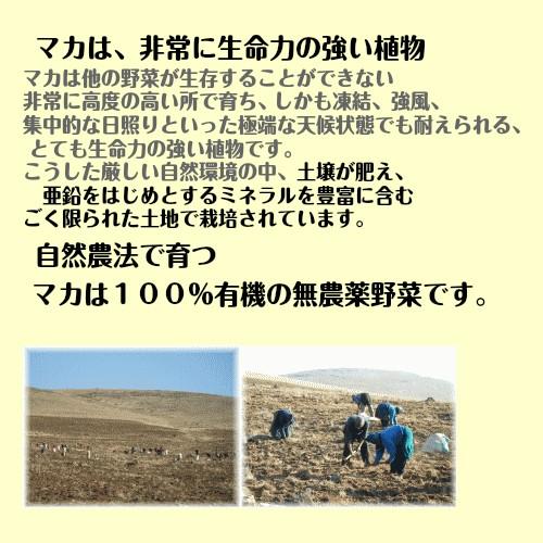 16％オフ 有機マカ粉末 高吸収タイプ 100g入り　5袋セット お得 | オーガニック | 02