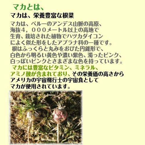 有機 マカ粉末 高吸収タイプ お徳用600g ＪＡＳ認定 マカパウダー 　 | オーガニック | 01