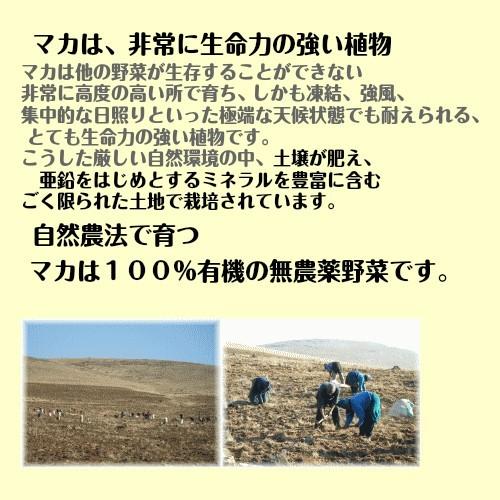 16％オフ有機マカ粒 高吸収タイプ 100g入り 5袋セット 通常より１５００円お得 マカ サプリメント ＪＡＳ認定　 | オーガニック | 01