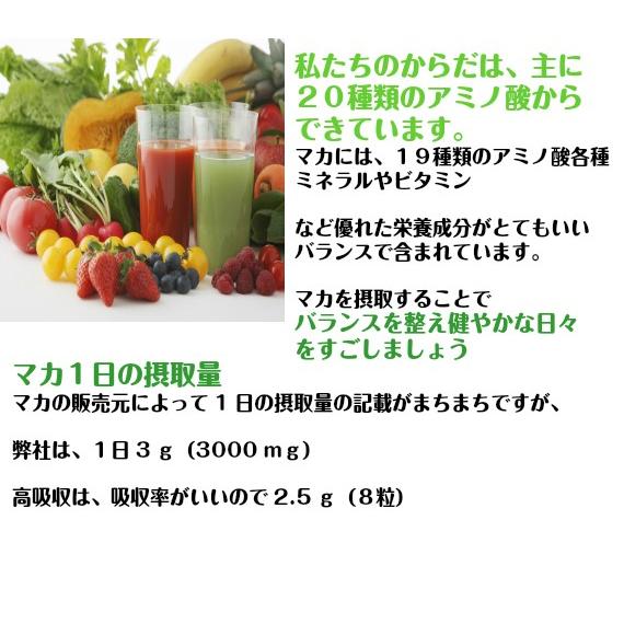 22％オフ　有機マカ粒 高吸収タイプ 100g入り 10袋セット  4000円お得　 | オーガニック | 03