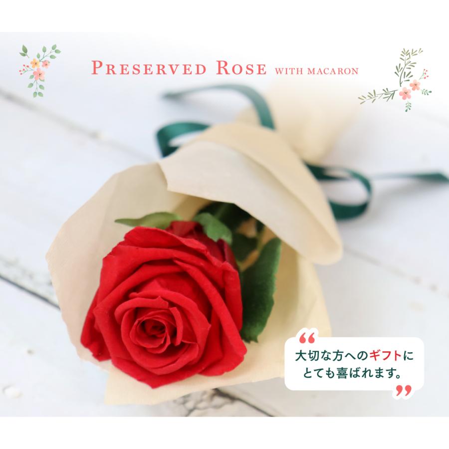 ギフト】花＆マカロン オールスター12個セット マカロン