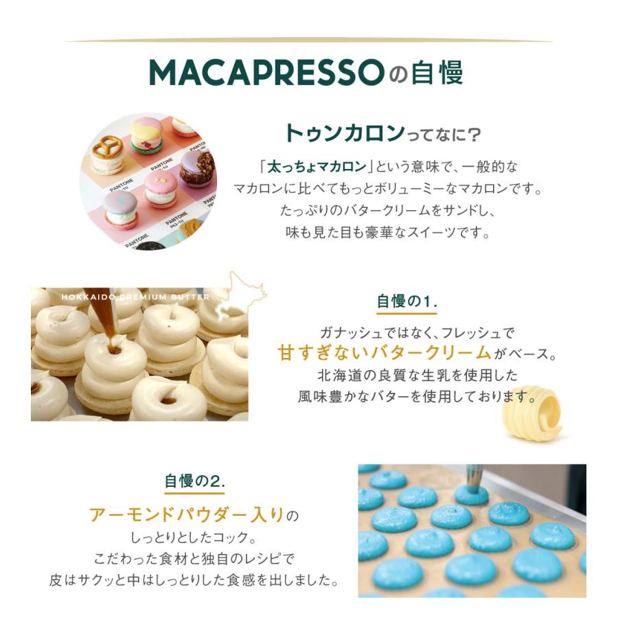 お得】太っちょマカロン 選べる 6個 & ラスク 2袋 セット