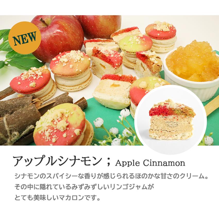 秋の新フレーバー登場 太っちょマカロン Macapresso 選べる 6個セット マカプレッソ トゥンカロン マカロン Macaron 韓国 スイーツ 父の日 Mp06 Aycc マカプレッソ 通販 Yahoo ショッピング