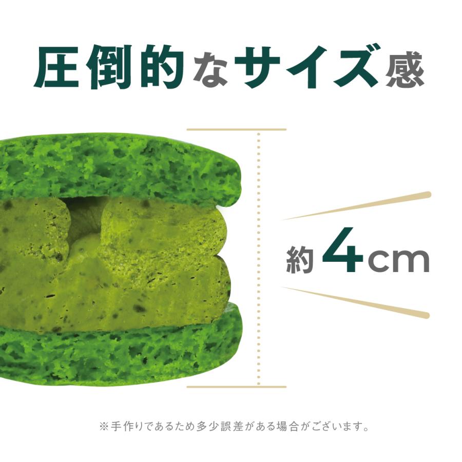 マカロン　MARS 楽天市場】【大人気】マカマニア ミルク 6個セット マカロン