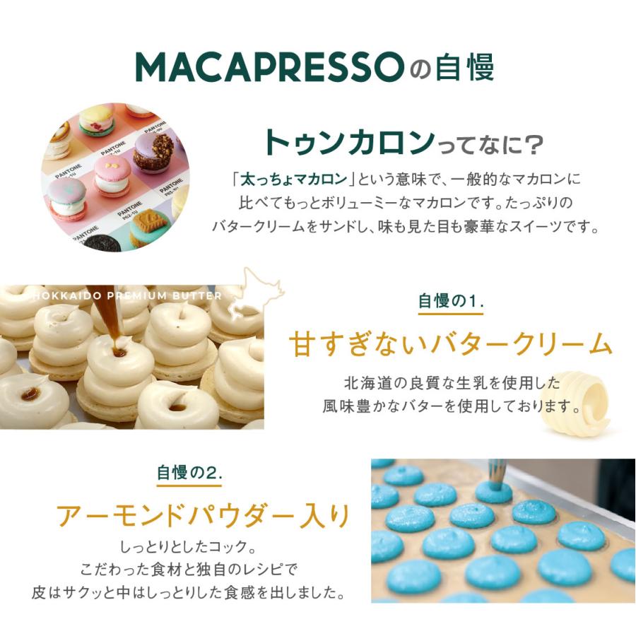 太っちょマカロン MACAPRESSO マカマニア 抹茶 6個セット