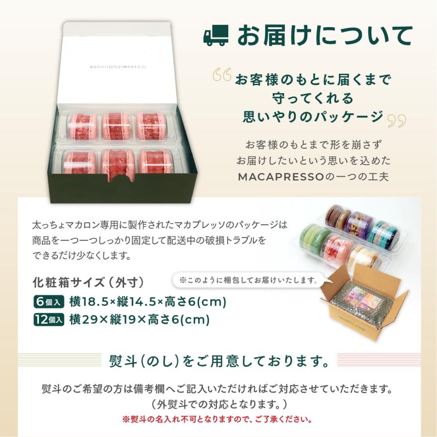 太っちょマカロン MACAPRESSO マカマニア ベリーベリー 6個セット