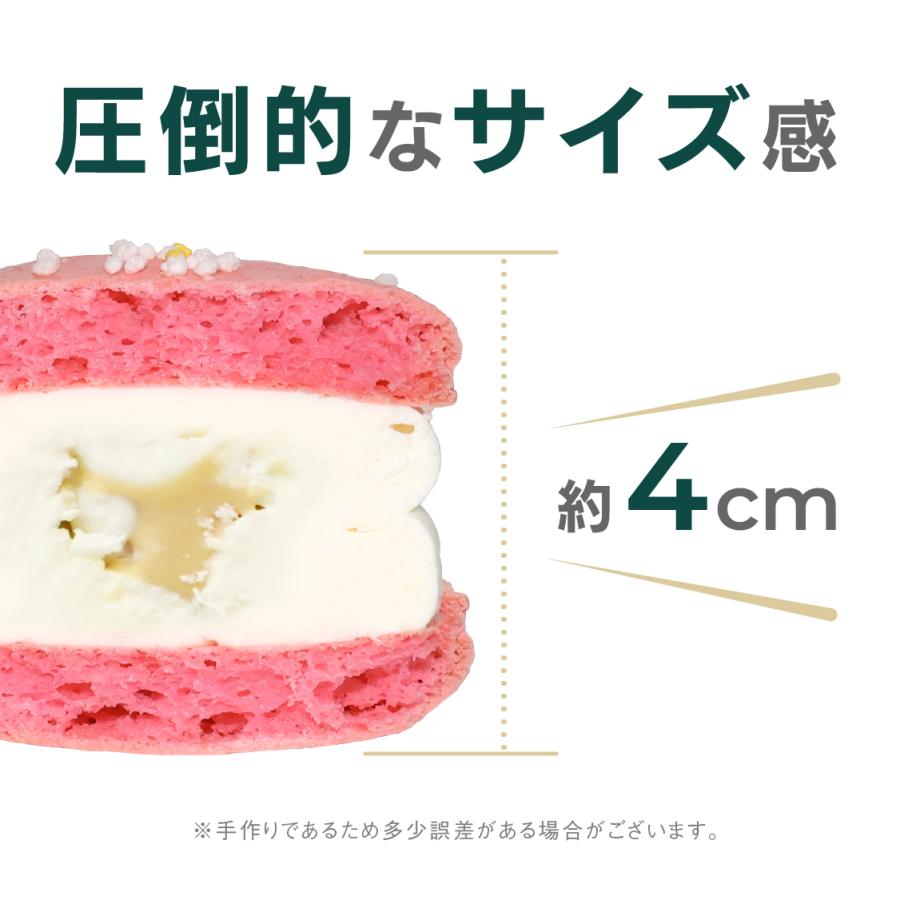 太っちょマカロン MACAPRESSO マカマニア ミルク 6個セット