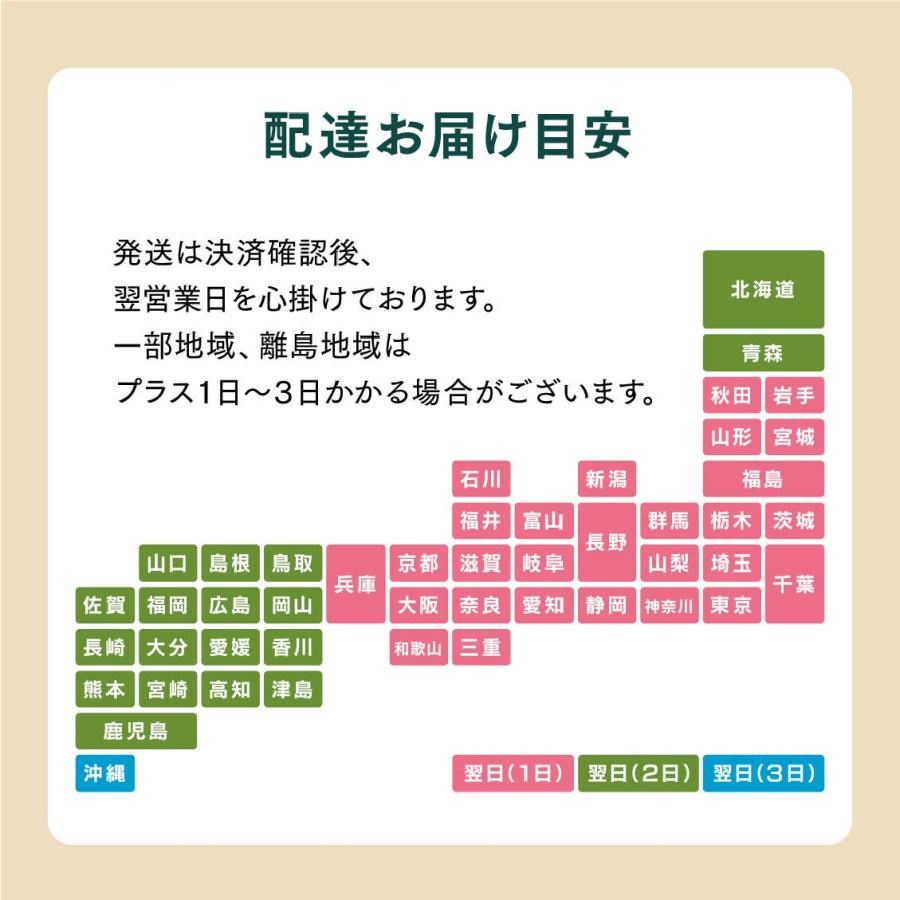 【ギフト】オールスター12個セット MACAPRESSO マカロン トゥンカロン 誕生日 卒業式 韓国 |  | 12