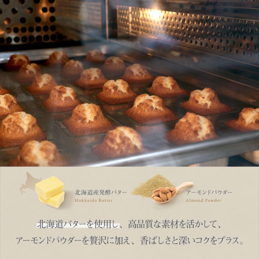 ギフト】プチフィナンシェ 6,12セット THE BAKE FACTORY TBF