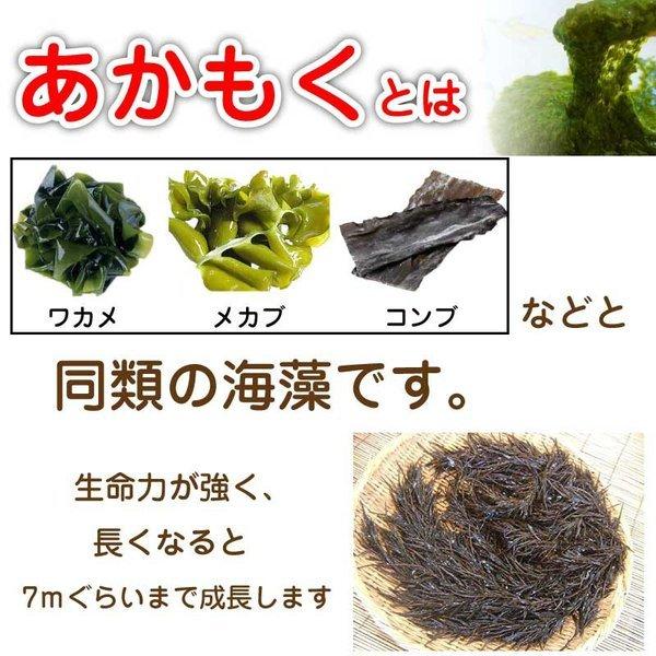 国産 あかもく 20g 粉末 乾燥アカモク 粉末   令和  DM便送料無料｜macaron0120｜02