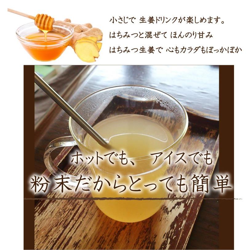 蒸し生姜粉末 100g しょうがパウダー あさイチ 令和 Dm便送料無料 K Bi 008 1 Macaron ヤフー店 通販 Yahoo ショッピング