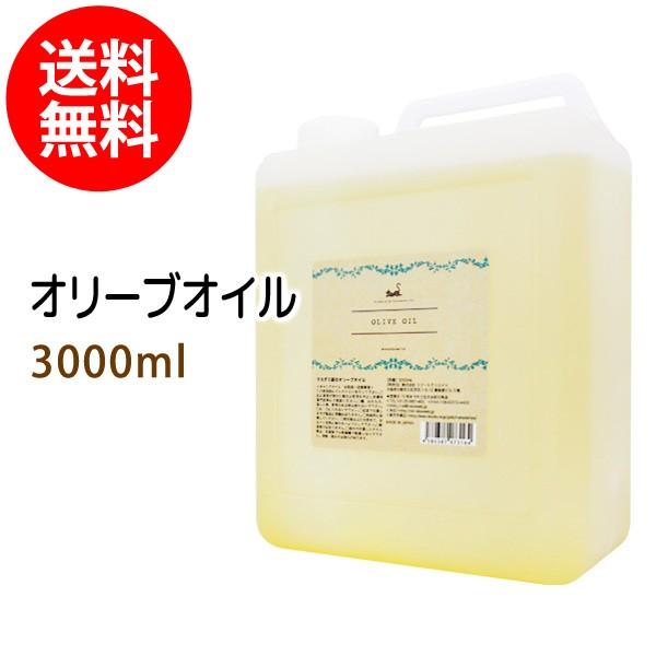 ブランド登録なし - オリーブ油絵の具 3000ml まかない方付