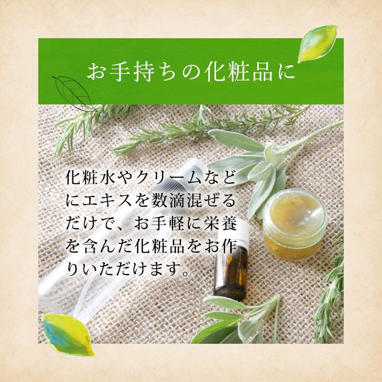 マカダミ屋 紫根エキスシコンエキス20ml 植物性 無添加 メール便送料