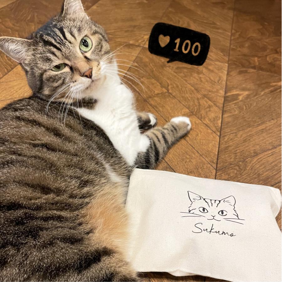 猫 ねこちゃん 名入れ ポーチ フラットポーチ イラスト チャック付き