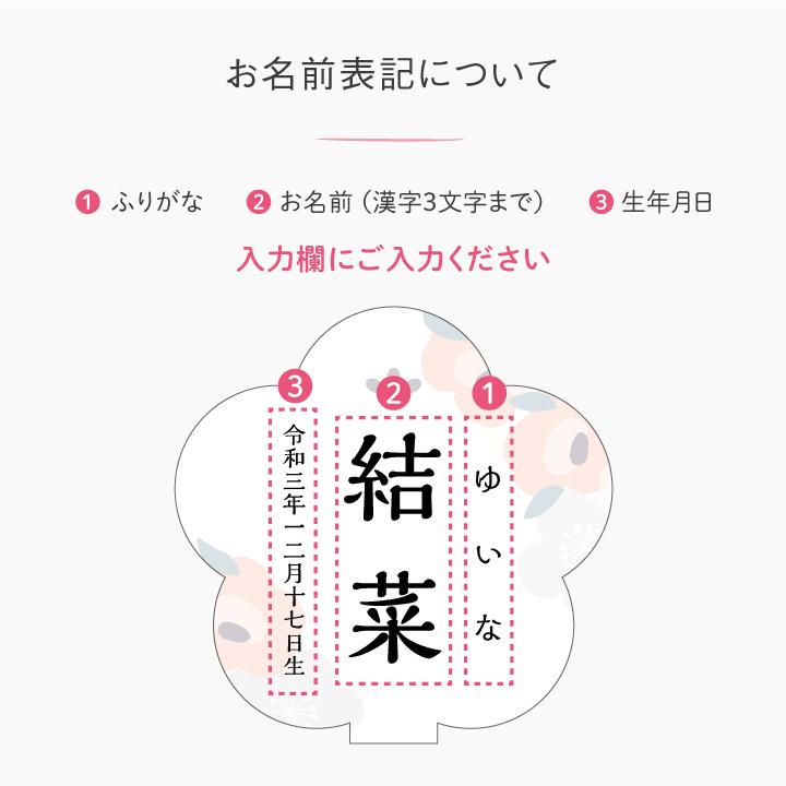 ひな祭り 名前旗 名前札 アクリル 雛人形 コンパクト おしゃれ 初節句 お祝い 女 命名書 出産祝い ひなまつり 飾り かわいい 今どき 送料無料 マックカット Hinamatsuri03 ぜっけん堂 マックカットヤフー店 通販 Yahoo ショッピング