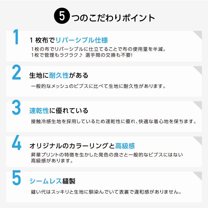 ビブス 番号 リバーシブル 10枚セット 1-10 キッズ ジュニア 通常丈