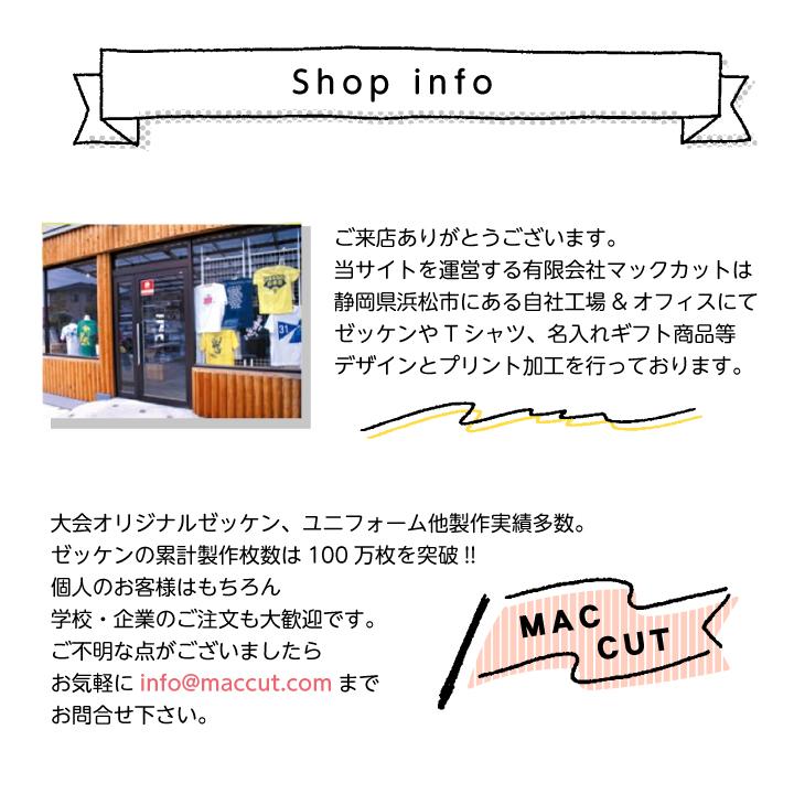 1枚のみ 陸上競技用ゼッケン 1段 24×16cm アスリートビブス 名入れ 布