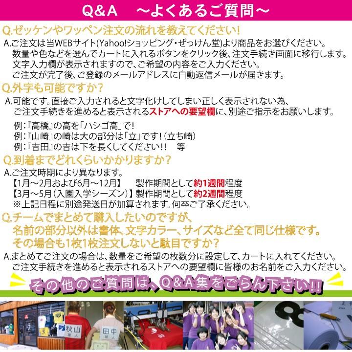 ゼッケン ｂ５サイズ2段組 W25cm H18cm Ze113 ぜっけん堂 マックカットヤフー店 通販 Yahoo ショッピング