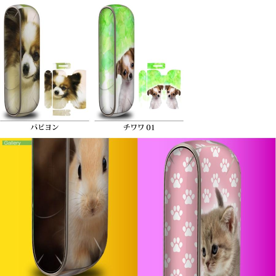 コンツァー　ハイブリッドスキンシール ＋おまけ Amazon.co.jp: Goospery lil Hybrid 2.0専用 スキンシール 2枚
