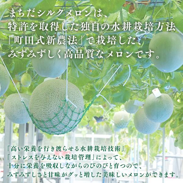 入荷順次発送!!まちだシルクメロン（ブロンズ★）糖度12度以上の高級メロン |  | 02