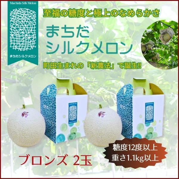 入荷順次発送!!【2玉セット】まちだシルクメロン（ブロンズ★）糖度12度以上の高級メロン | 