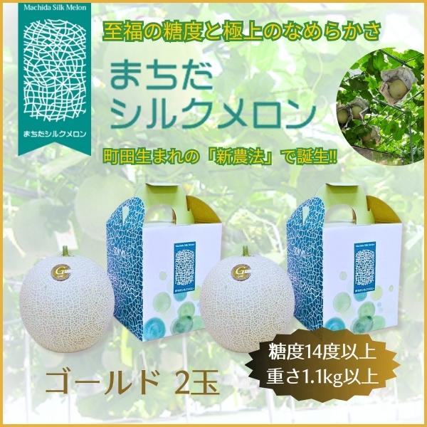 入荷順次発送!!【2玉セット】まちだシルクメロン（ゴールド★★）糖度14度以上の高級メロン | 